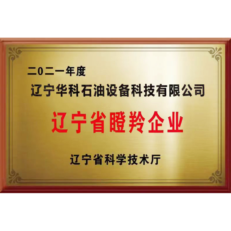 瞪羚企業(yè).png
