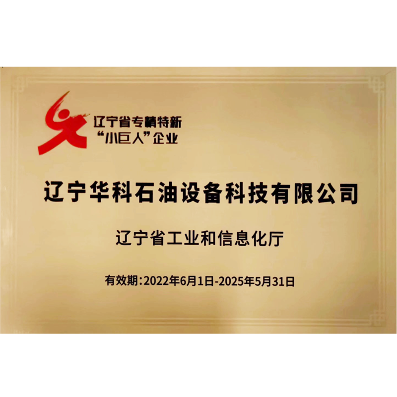 小巨人證書.png